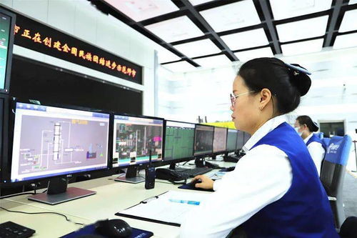 天业集团天辰化工厂科技项目获批2021年兵团“两区”建设计划项目信息技术咨询服务”,